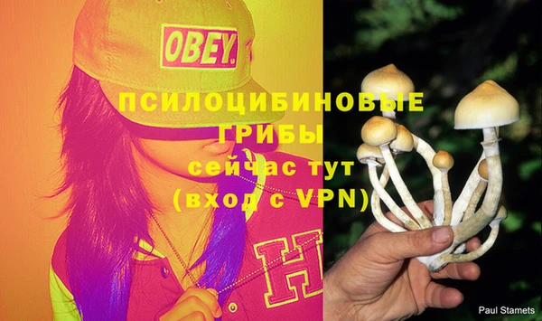 mdpv Семёнов