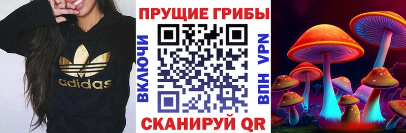 где найти   Буйнакск  Галлюциногенные грибы MAGIC MUSHROOMS 