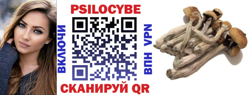 Галлюциногенные грибы GOLDEN TEACHER Буйнакск